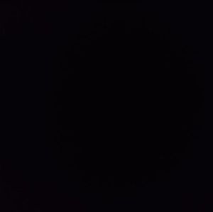 Meet your Posher, Marcus